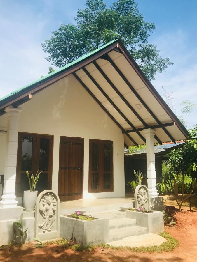 Hotel The Wild Culture Sigiriya Exteriér fotografie